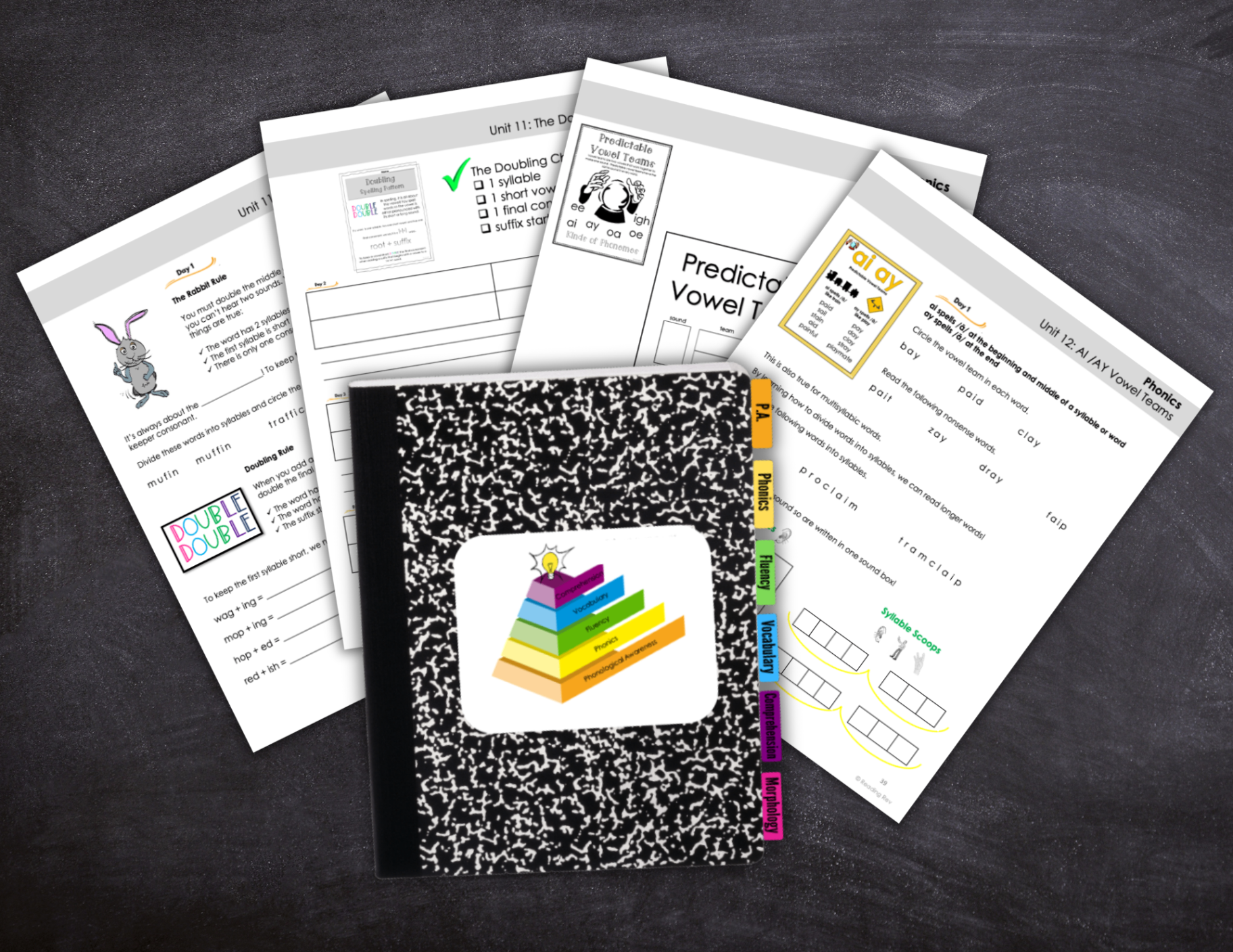 Everything Reading Notebook